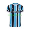 Maillot de Foot GREMIO Domicile 2023-24